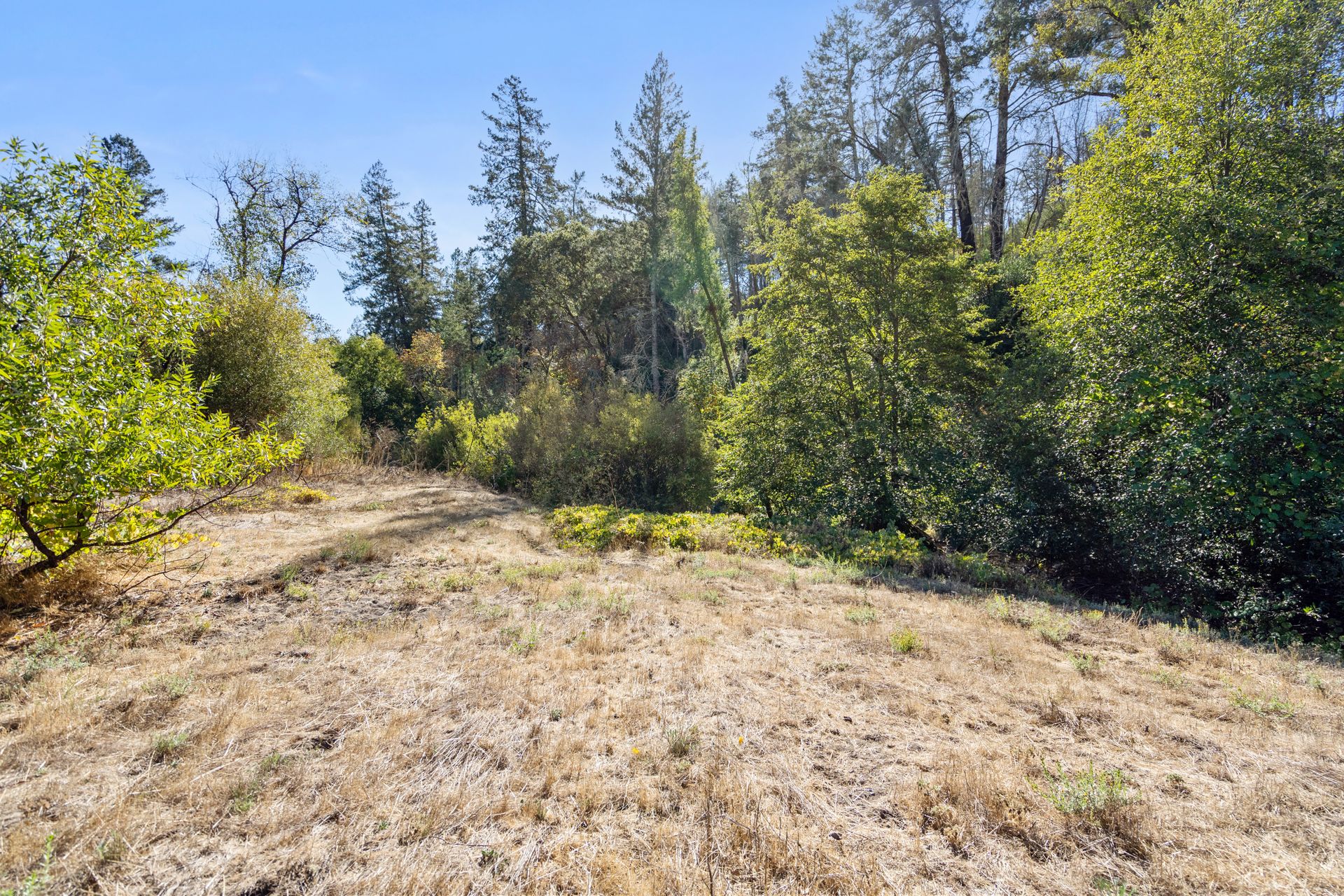 Offered at $249,000