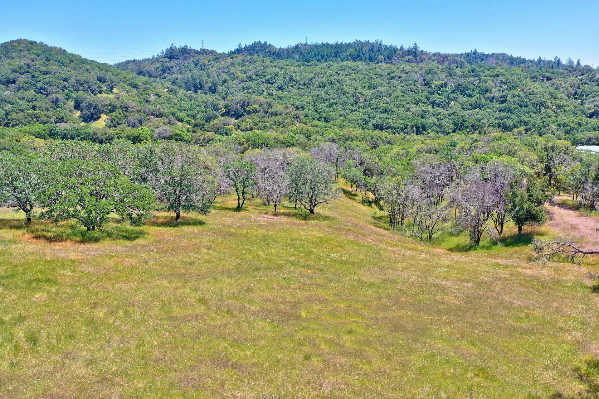 Shiloh Ridge Ranch About